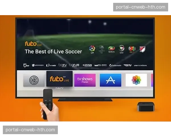 意甲联盟与一家流媒体平台就北美地区版权开启独家谈判